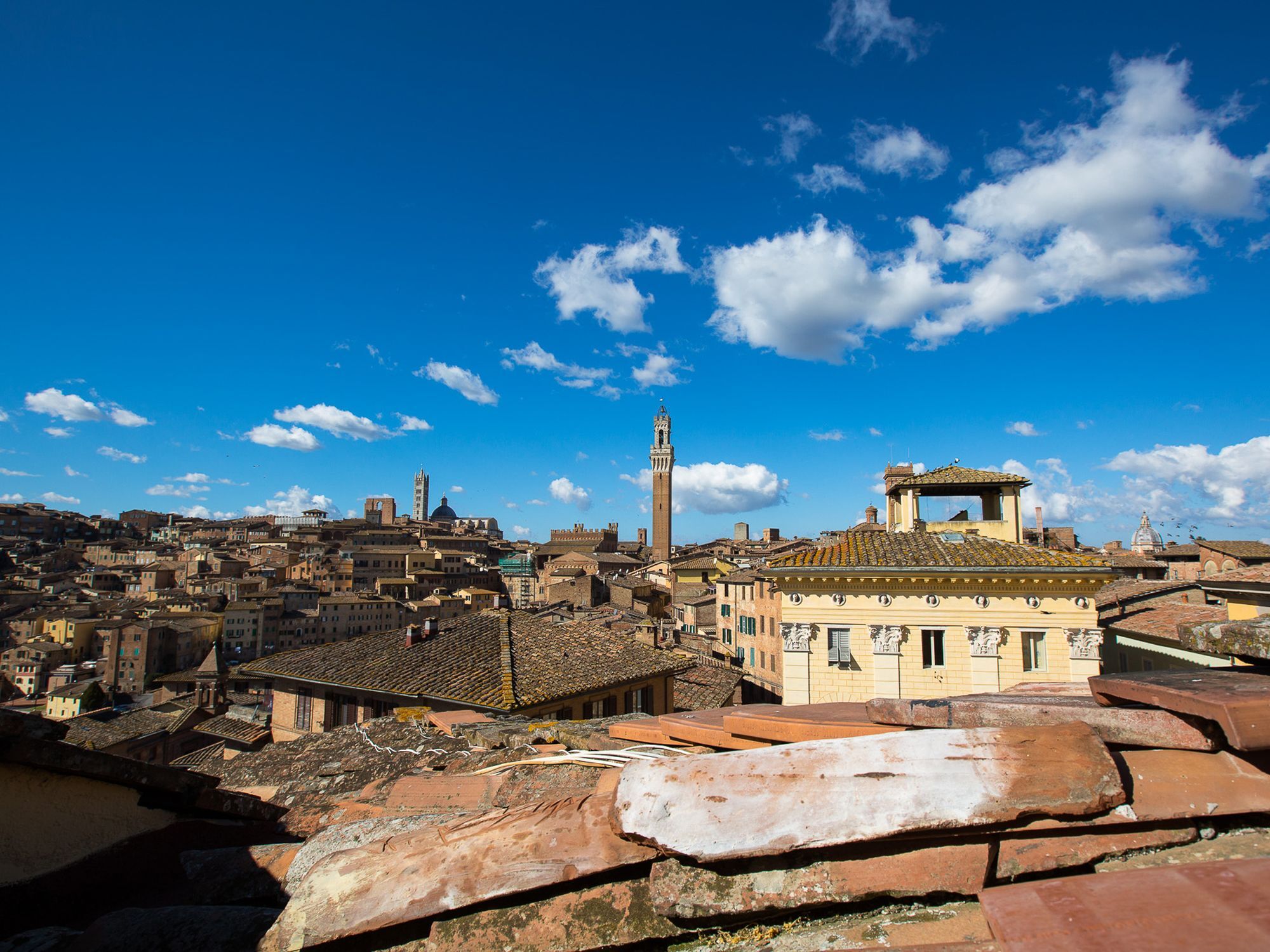 Appartamento Panoramico San Martino 12 Siena Eksteriør billede
